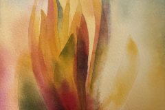 IMG_1701